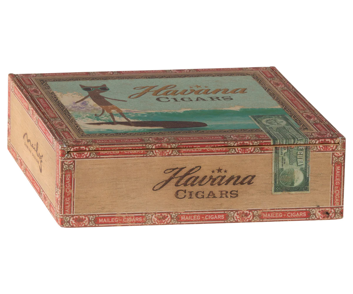 Mum & Dad Mouse in Cigar Box