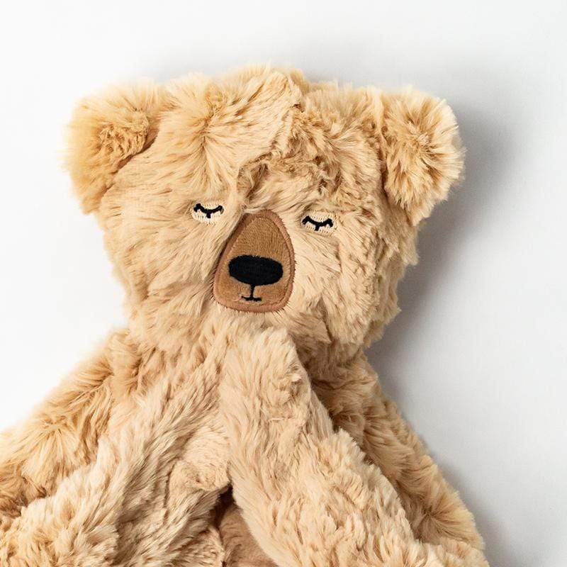 Honey Bear Snuggler & Book Set