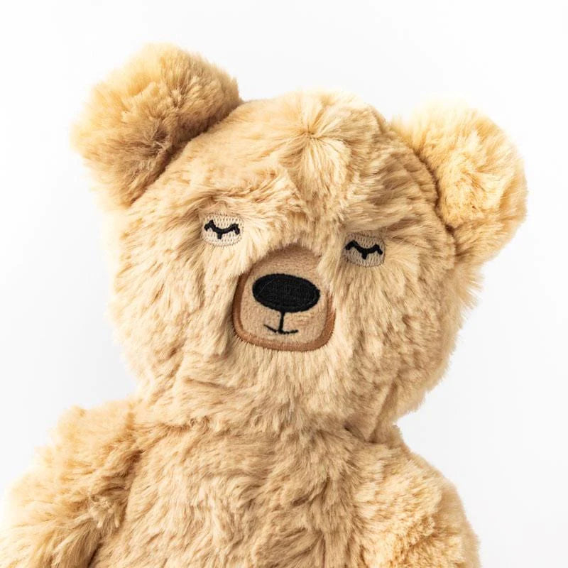 Honey Bear Kin & Book Set