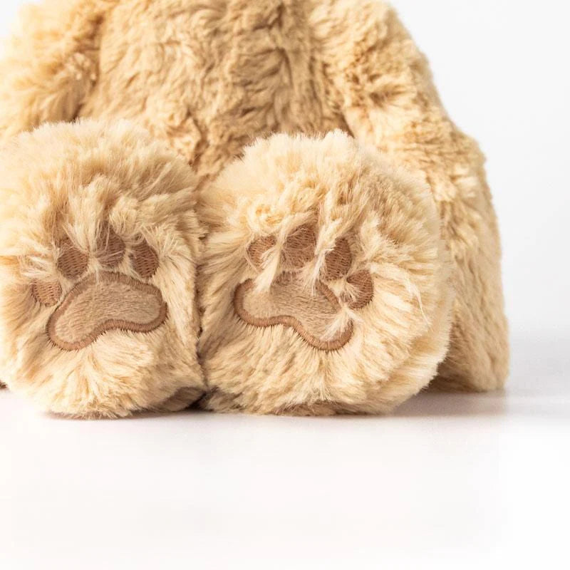 Honey Bear Kin & Book Set