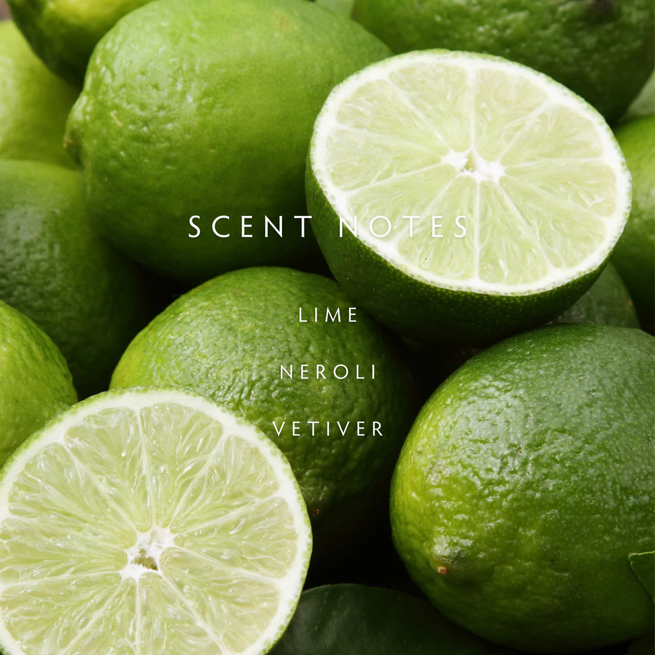 Linnea Persian Lime 2-wick Candle
