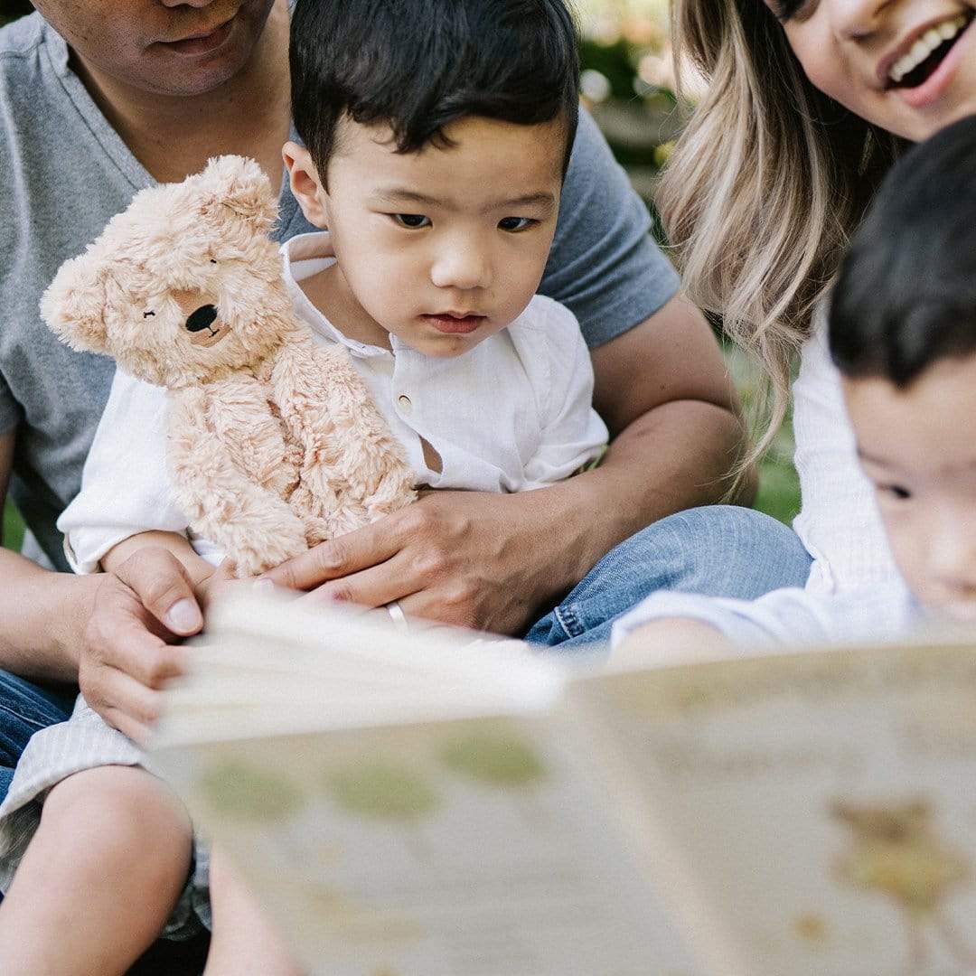 Honey Bear Snuggler & Book Set