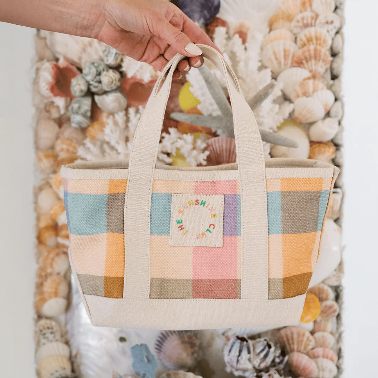 Mini Rainbow Plaid Canvas Tote
