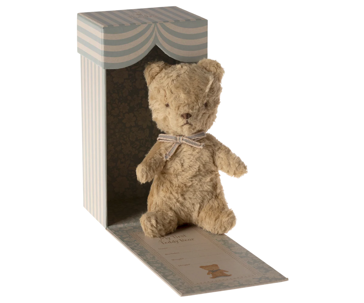My First Teddy in Sand