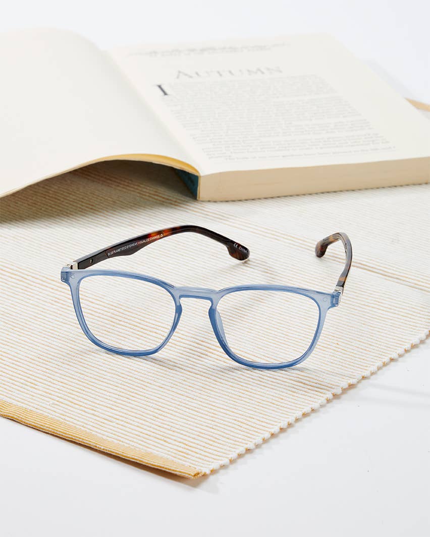 Mel Readers in Light Blue and Brown Tortoise - alternate view