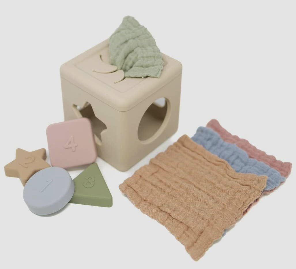 Shape Sorter Tissue Toy