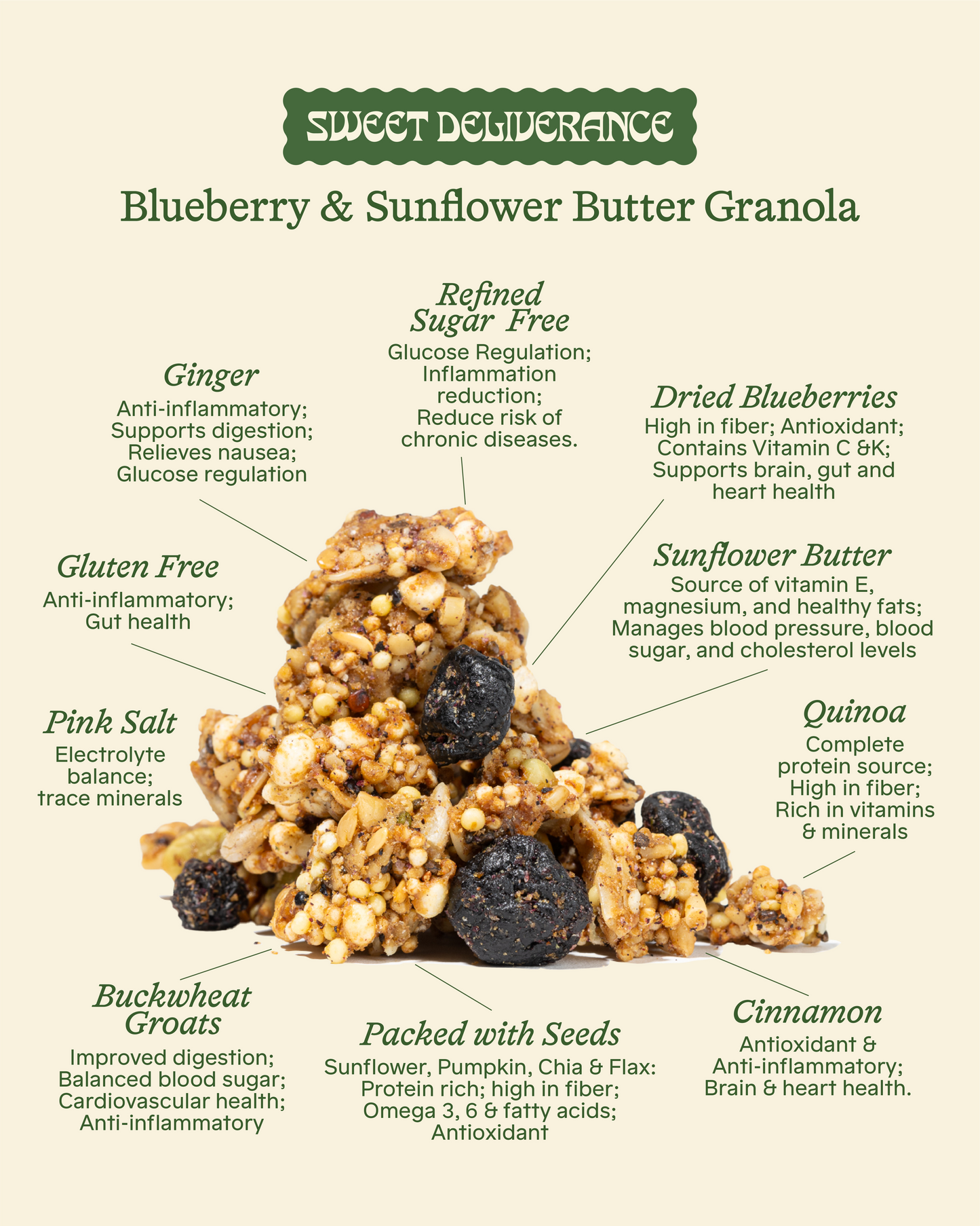 Blueberry & Sunflower Butter Granola (8oz)