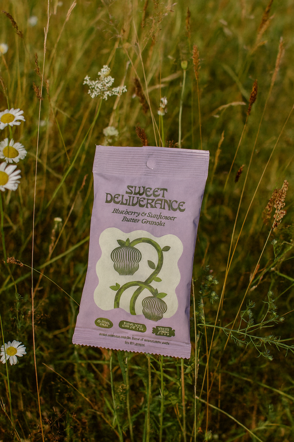 Blueberry & Sunflower Butter Granola: Snack Pack
