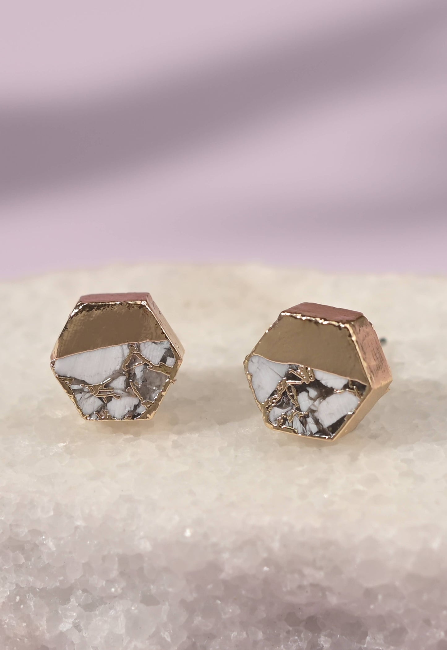 Canopy Stud Earrings in White Turquoise