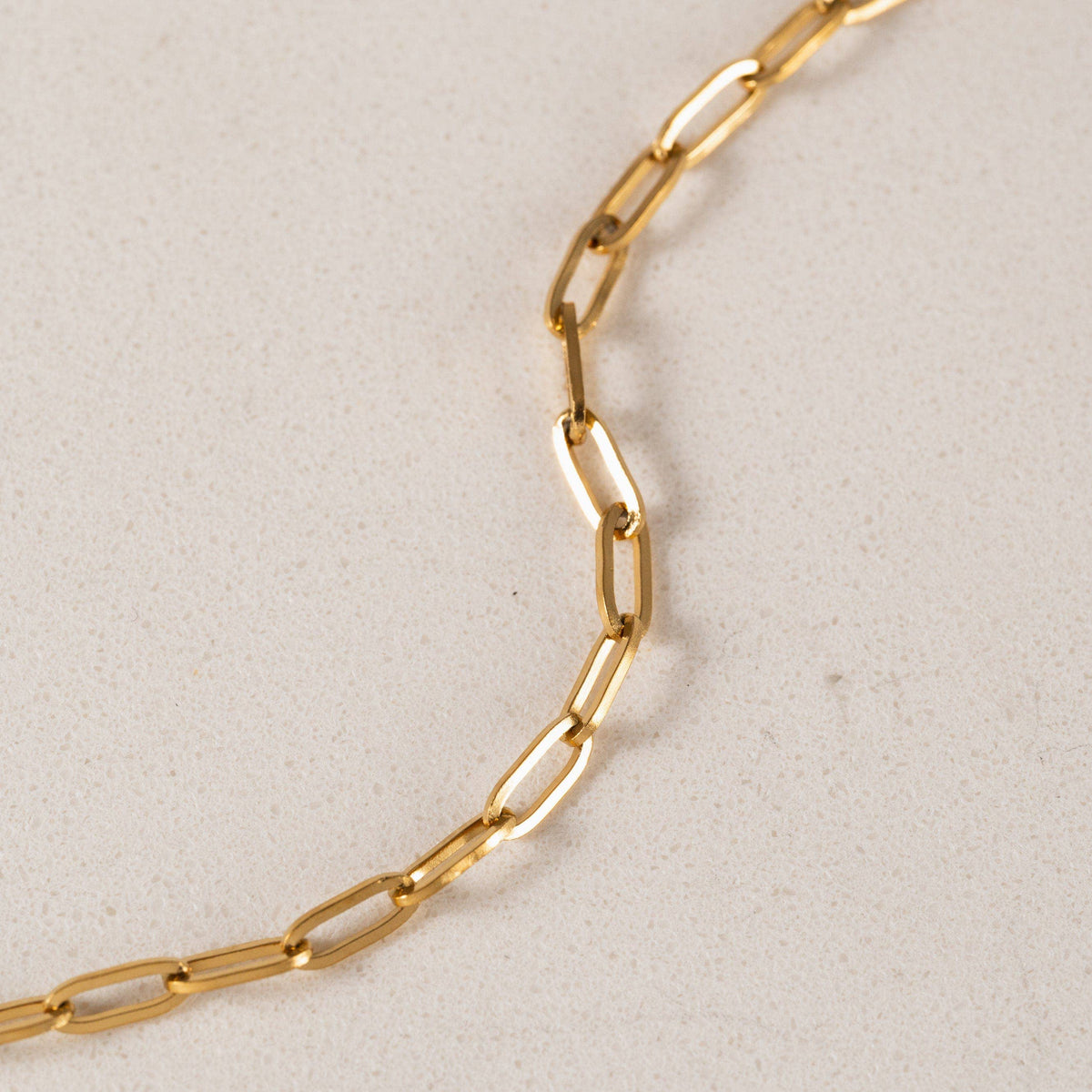 Darcy Paperclip Necklace in Gold