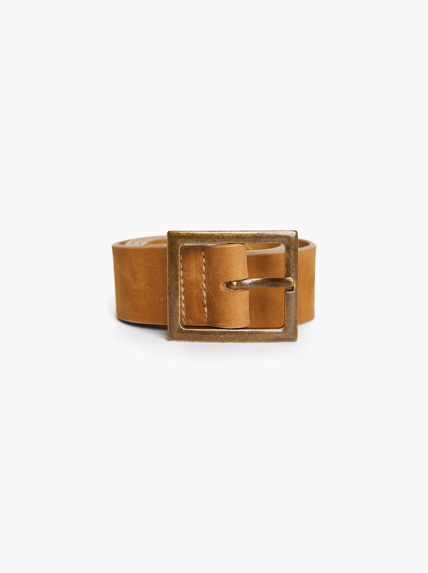 Carolina Belt in Fawn